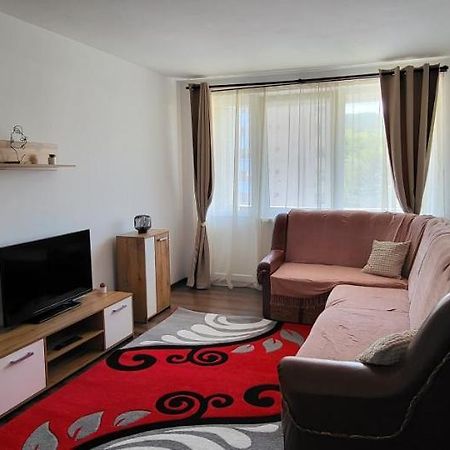 Apartament In Regim Hotelier 德瓦 外观 照片