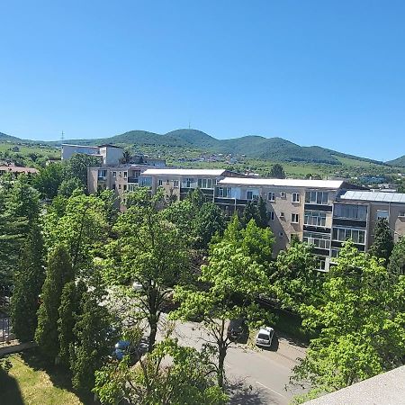 Apartament In Regim Hotelier 德瓦 外观 照片