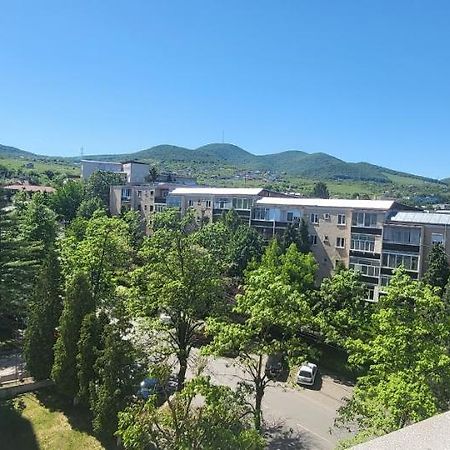 Apartament In Regim Hotelier 德瓦 外观 照片