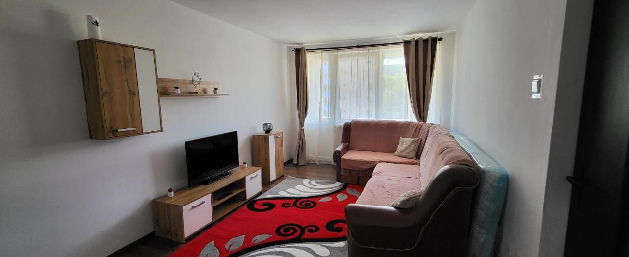Apartament In Regim Hotelier 德瓦 外观 照片